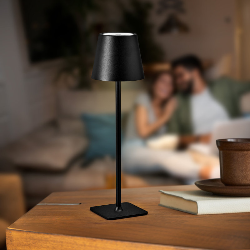 Mikasa LED Rechargeable Lamp, 14.8 Inch & Reviews | Wayfair